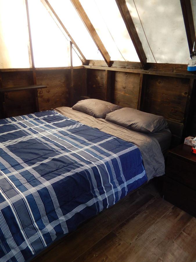 Wanderer'S Inn Backpackers Hostel Haines Junction Extérieur photo