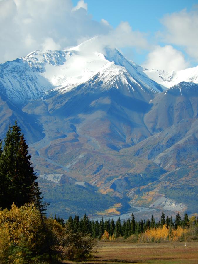 Wanderer'S Inn Backpackers Hostel Haines Junction Extérieur photo