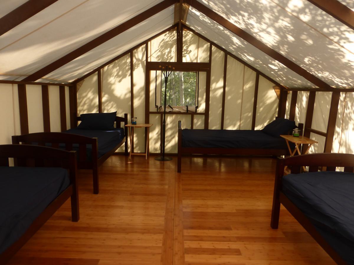 Wanderer'S Inn Backpackers Hostel Haines Junction Extérieur photo