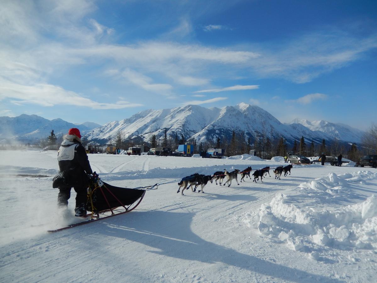 Wanderer'S Inn Backpackers Hostel Haines Junction Extérieur photo